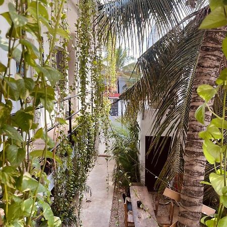 Anana Coliving Hotel ปลายาเดลการ์เมน ภายนอก รูปภาพ