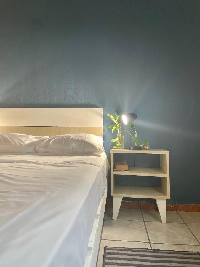 Anana Coliving Hotel ปลายาเดลการ์เมน ภายนอก รูปภาพ