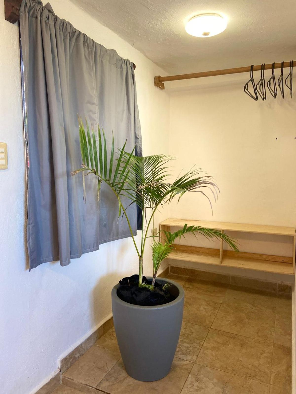 Anana Coliving Hotel ปลายาเดลการ์เมน ภายนอก รูปภาพ
