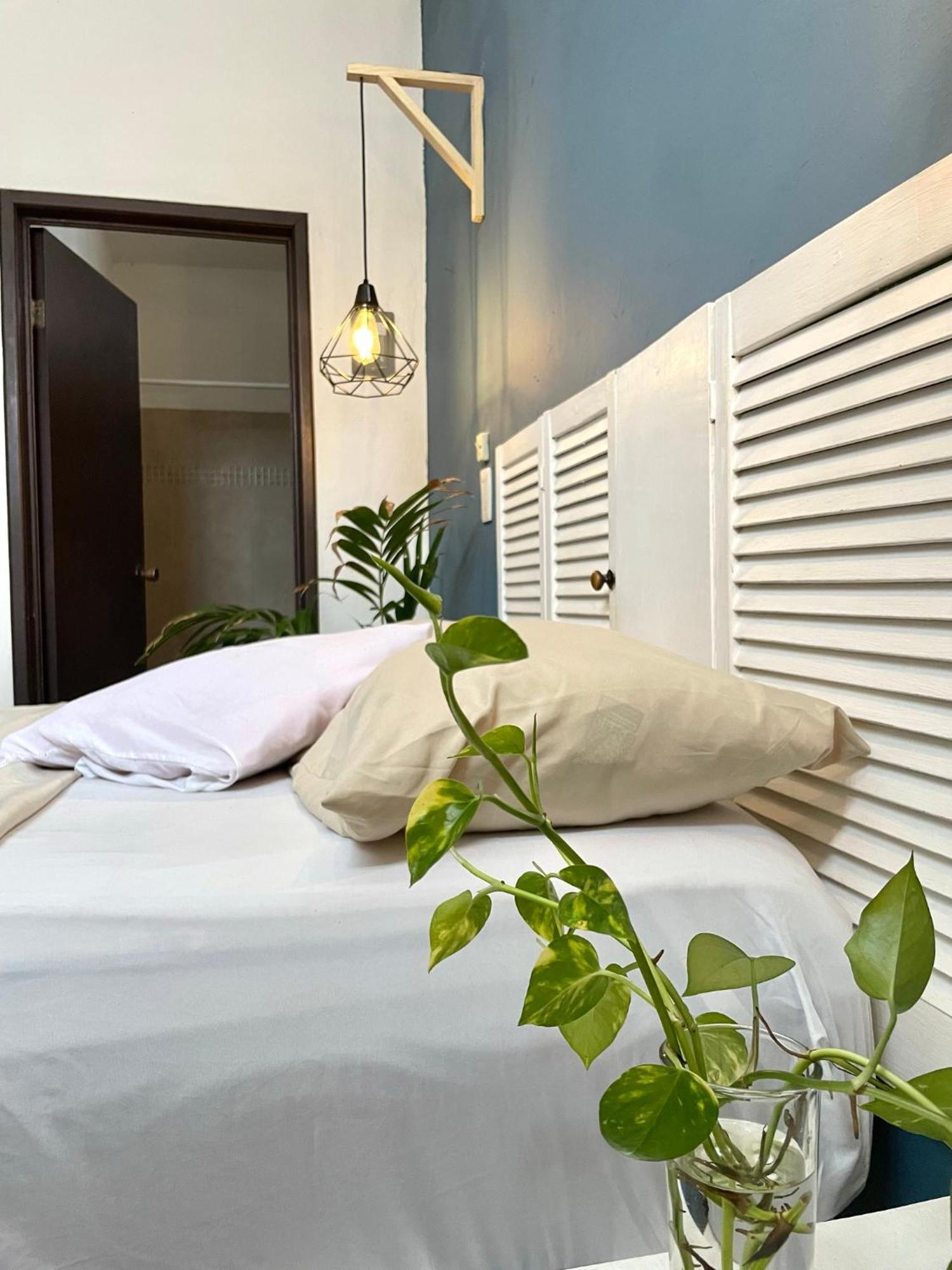 Anana Coliving Hotel ปลายาเดลการ์เมน ภายนอก รูปภาพ